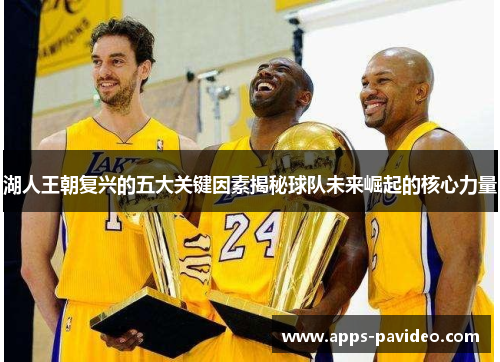 湖人王朝复兴的五大关键因素揭秘球队未来崛起的核心力量 湖人王朝复兴的五大关键因素揭秘球队未来崛起的核心力量