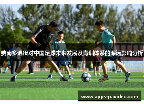 费南多退役对中国足球未来发展及青训体系的深远影响分析