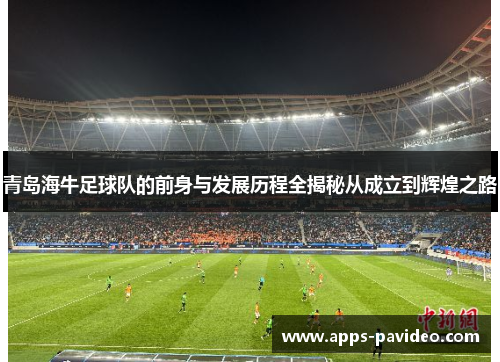 青岛海牛足球队的前身与发展历程全揭秘从成立到辉煌之路 青岛海牛足球队的前身与发展历程全揭秘从成立到辉煌之路