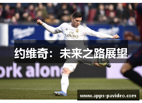 约维奇：未来之路展望